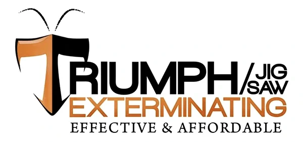 Triumph/Jig Saw